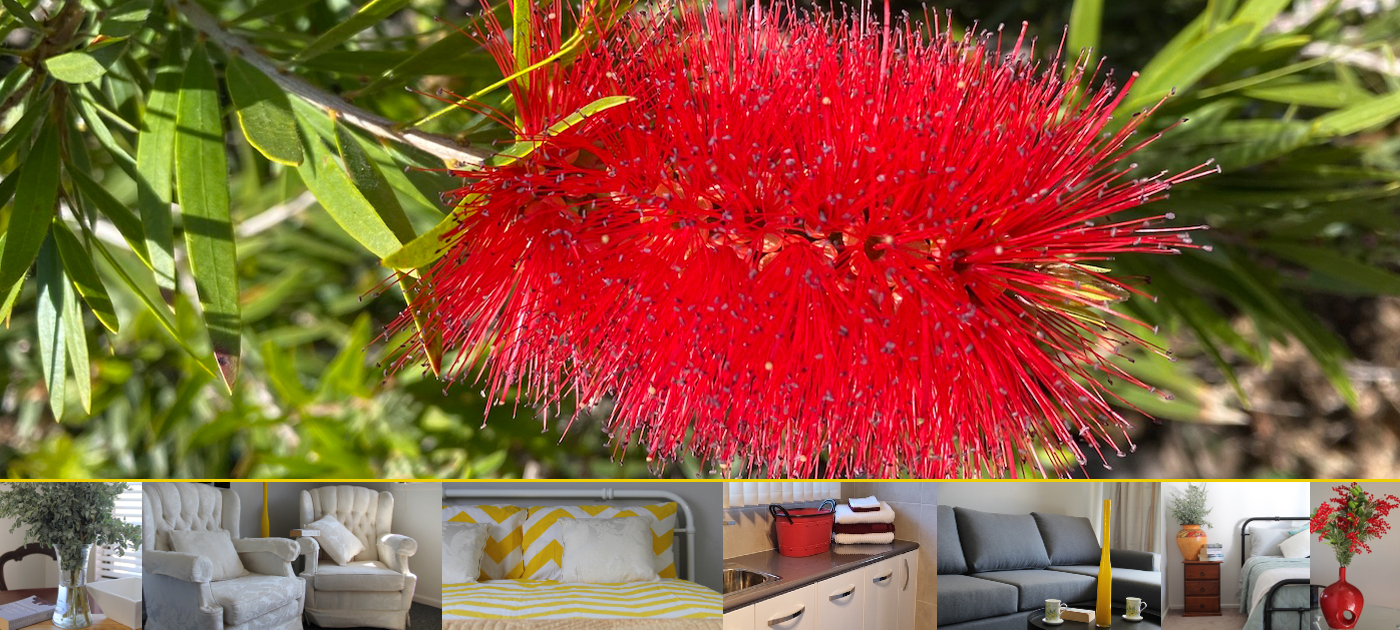 Merriwa Serviced Apartments A Little Luxury, A Lot of Comfort A